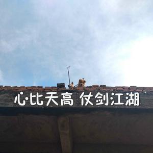 做爱性生活三级片
